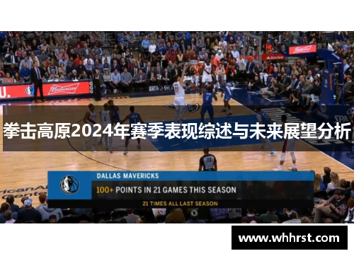 拳击高原2024年赛季表现综述与未来展望分析