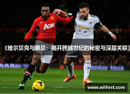 《维尔贝克与黑贝：揭开跨越世纪的秘密与深层关联》