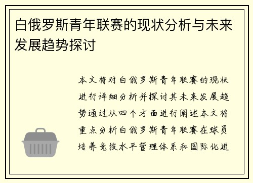 白俄罗斯青年联赛的现状分析与未来发展趋势探讨